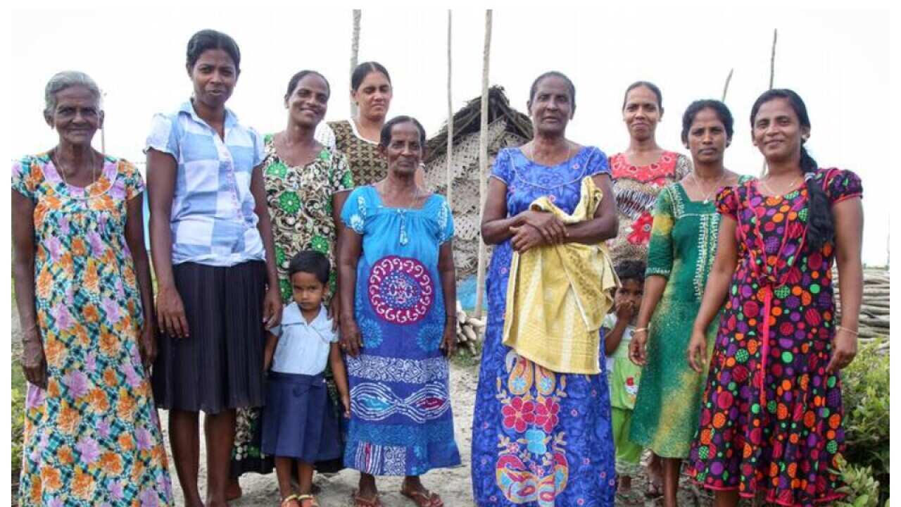 Focus : SriLanka