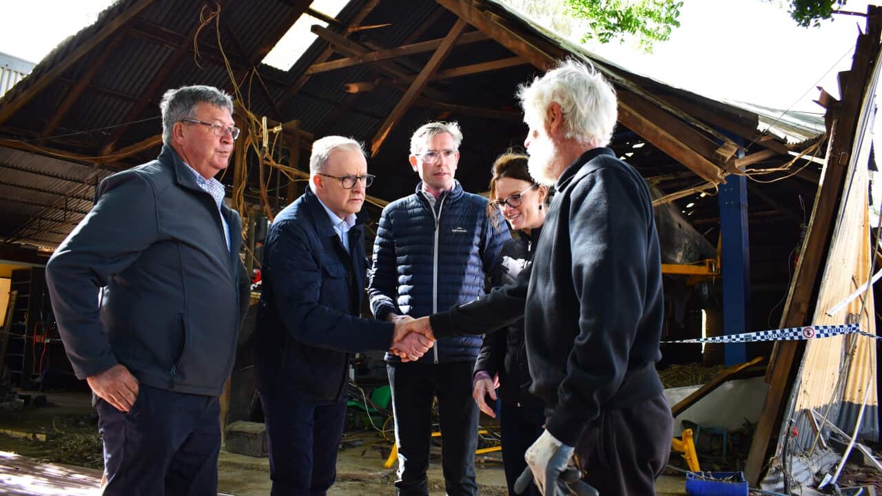 ANTHONY ALBANESE NSW FLOODS