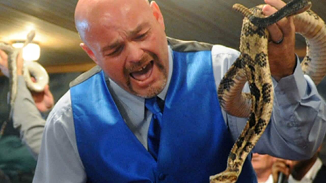 A supplied image of a snake eating a crocodile