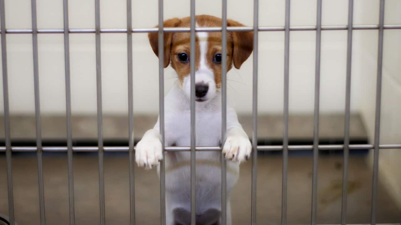 Image for read more article '阅读更多'