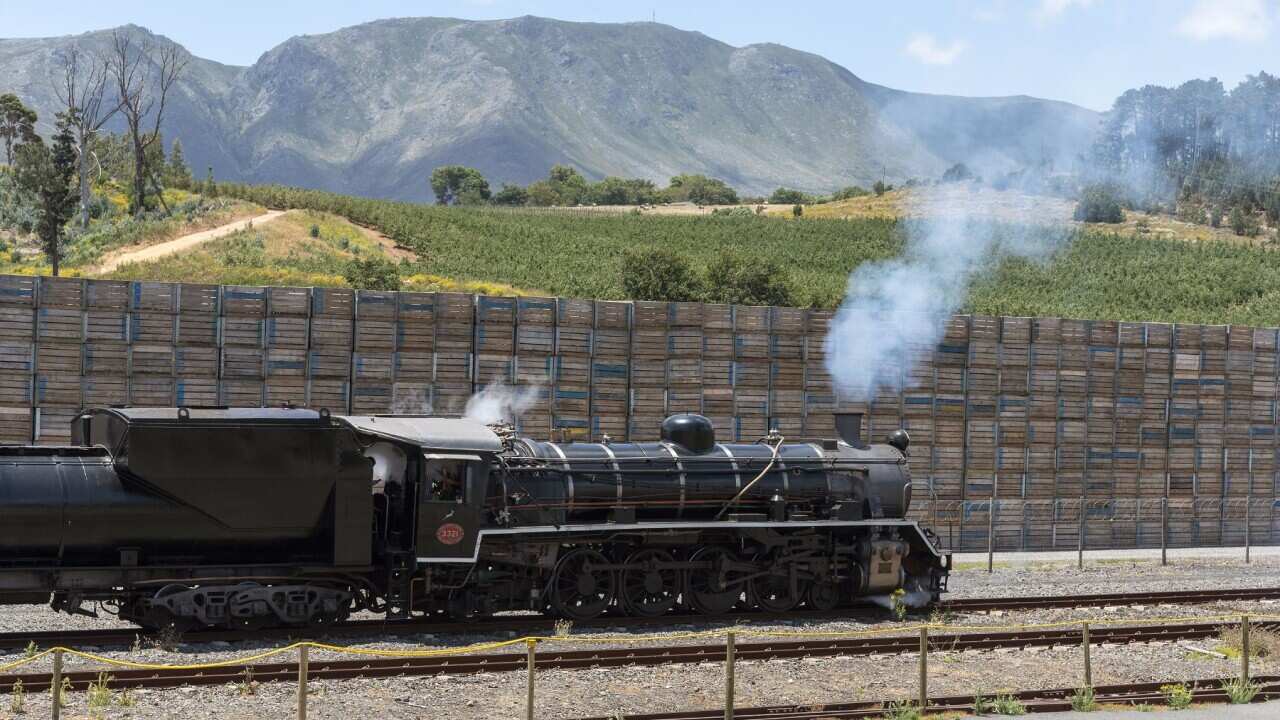 Elgin, Western Cape, South Africa, Elgin station in the Overberg region of the Western Cape. Vintage tourist steam train leaving Elgin Station bound for Cape Town