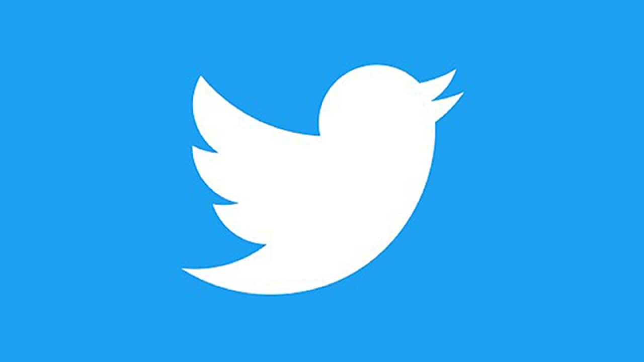 The Twitter bird logo