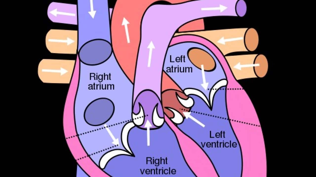 Image for read more article ''