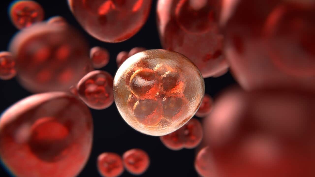 What are the warning signs of a Blood Cancer?