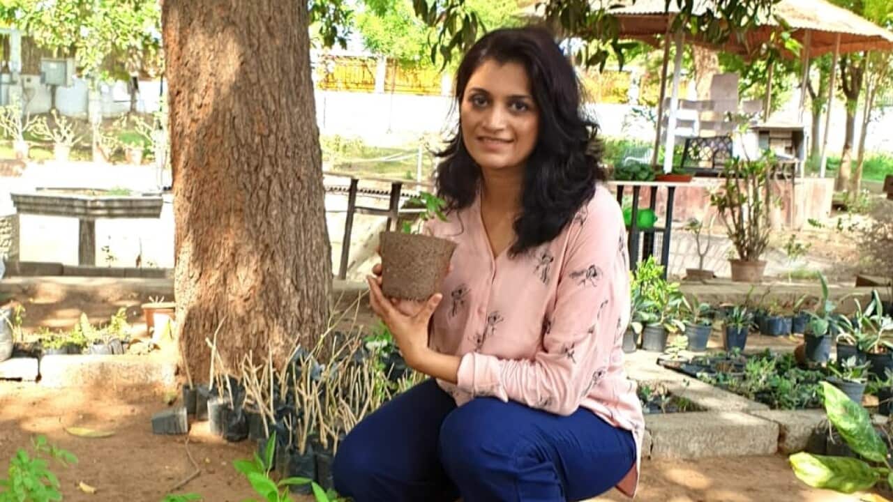 Avani Jain shares some gardening tips