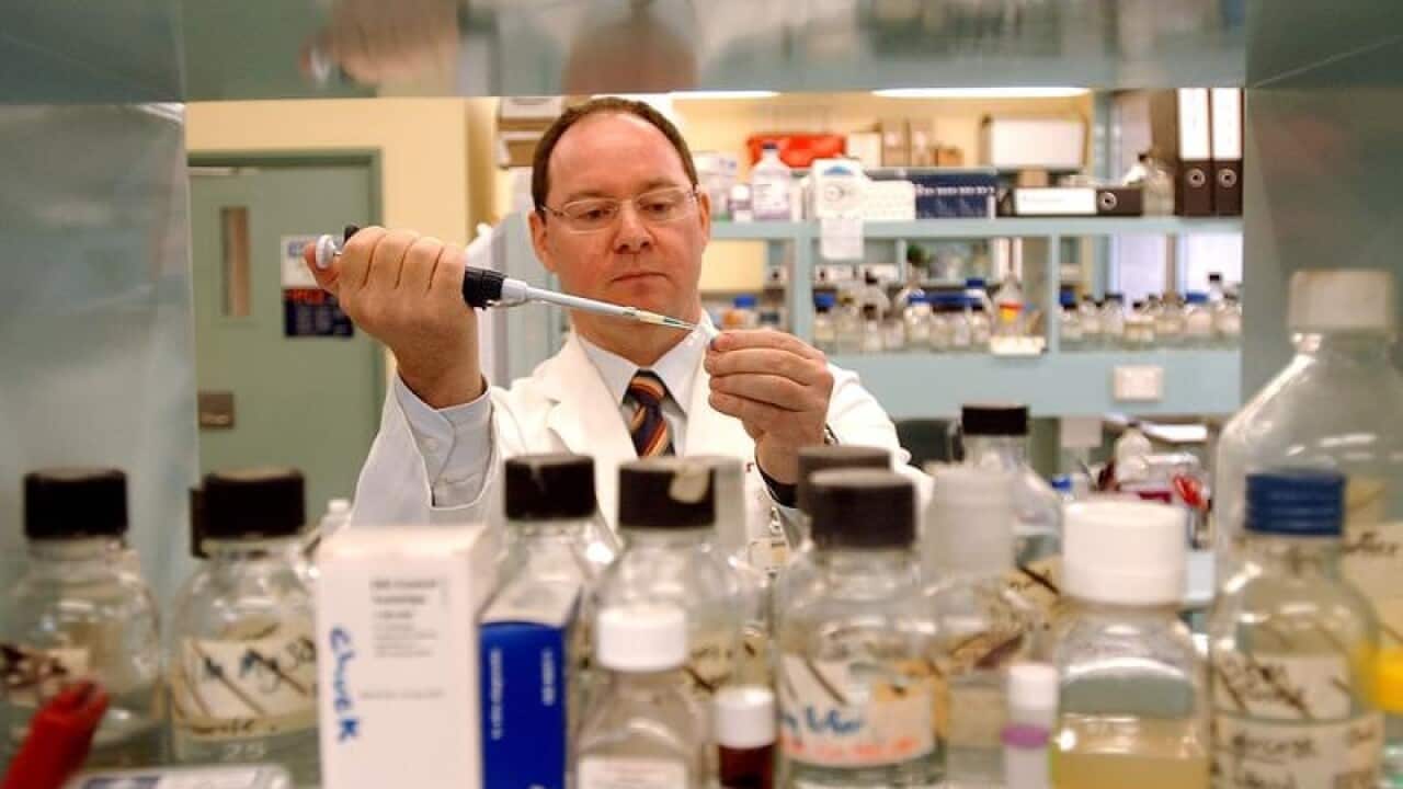 Lead Australian researcher Professor John Rasko in a Hospital lab.