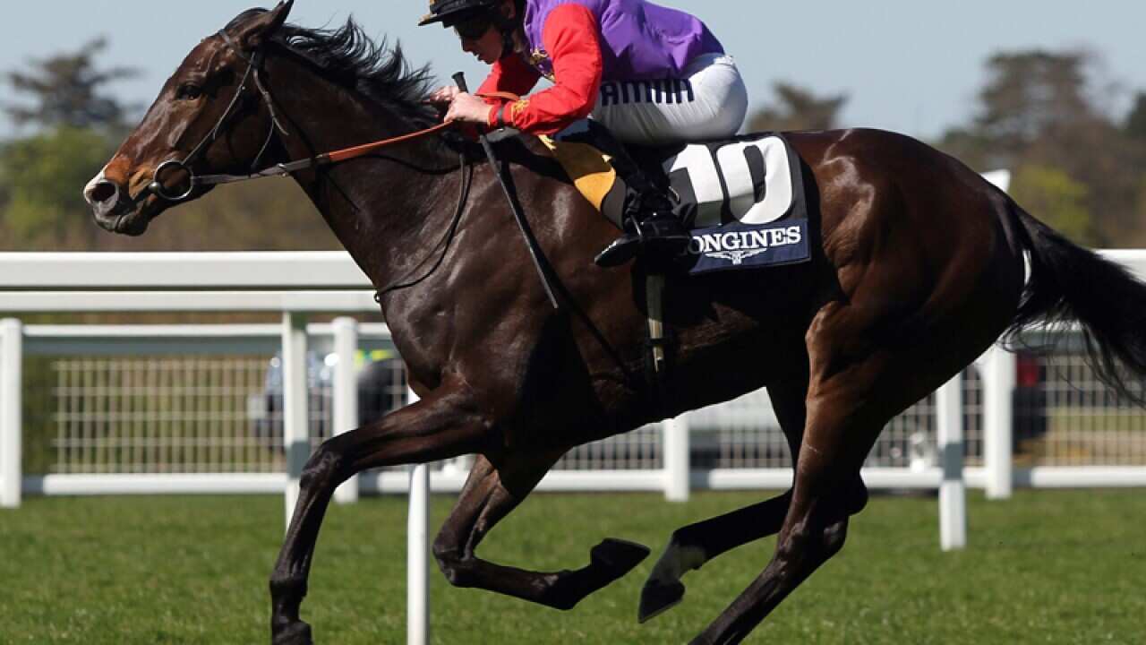 Estimate ridden by Ryan Moore