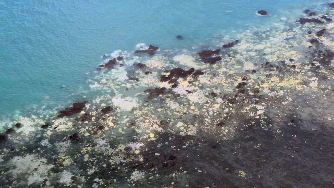 An aerial view of bleached coral reef located near Cairns