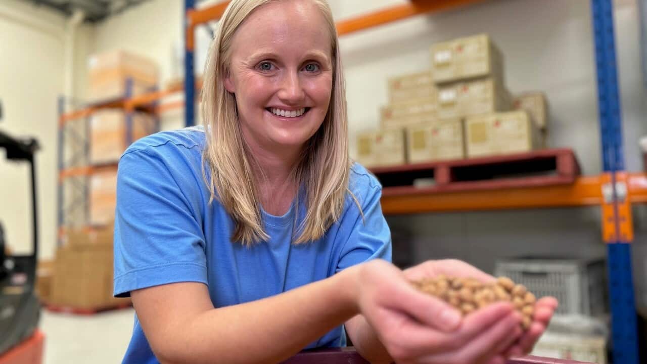 Laura Hindson makes dairy-free milk from tiger nuts (SBS Scott Cardwell).jpg