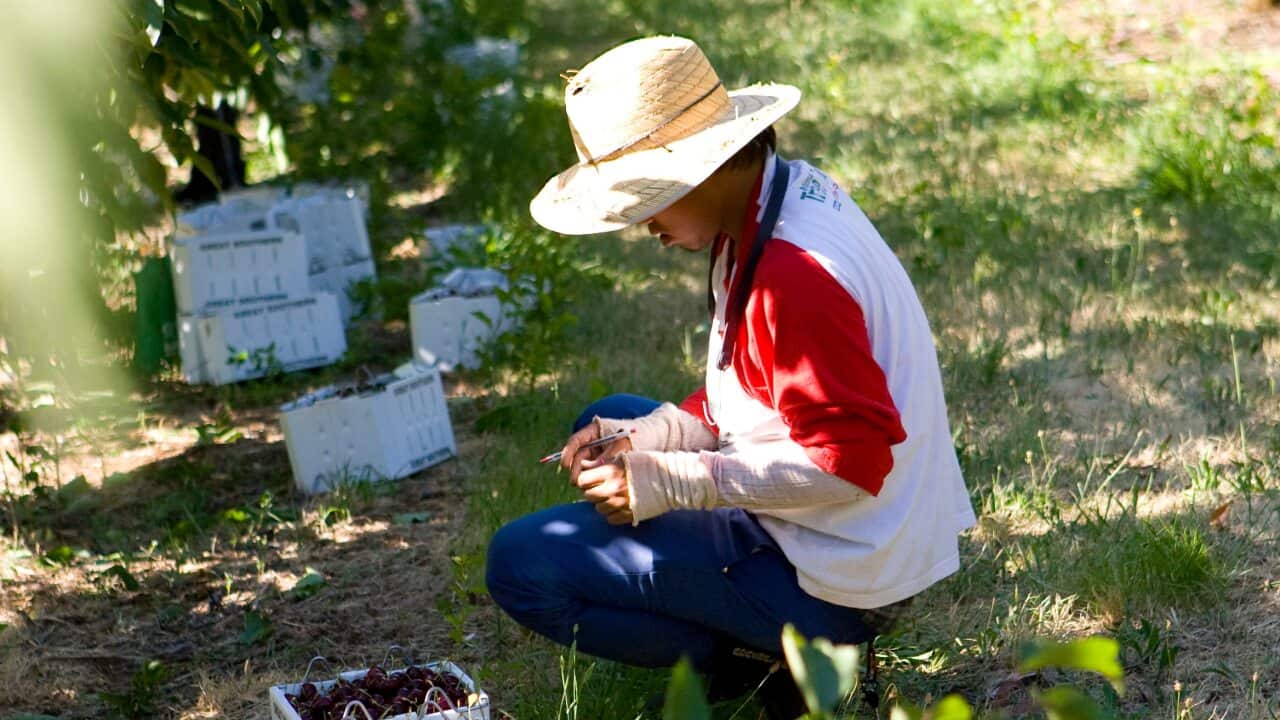 Temporary visa holders face significant financial hardship during the coronavirus crisis.