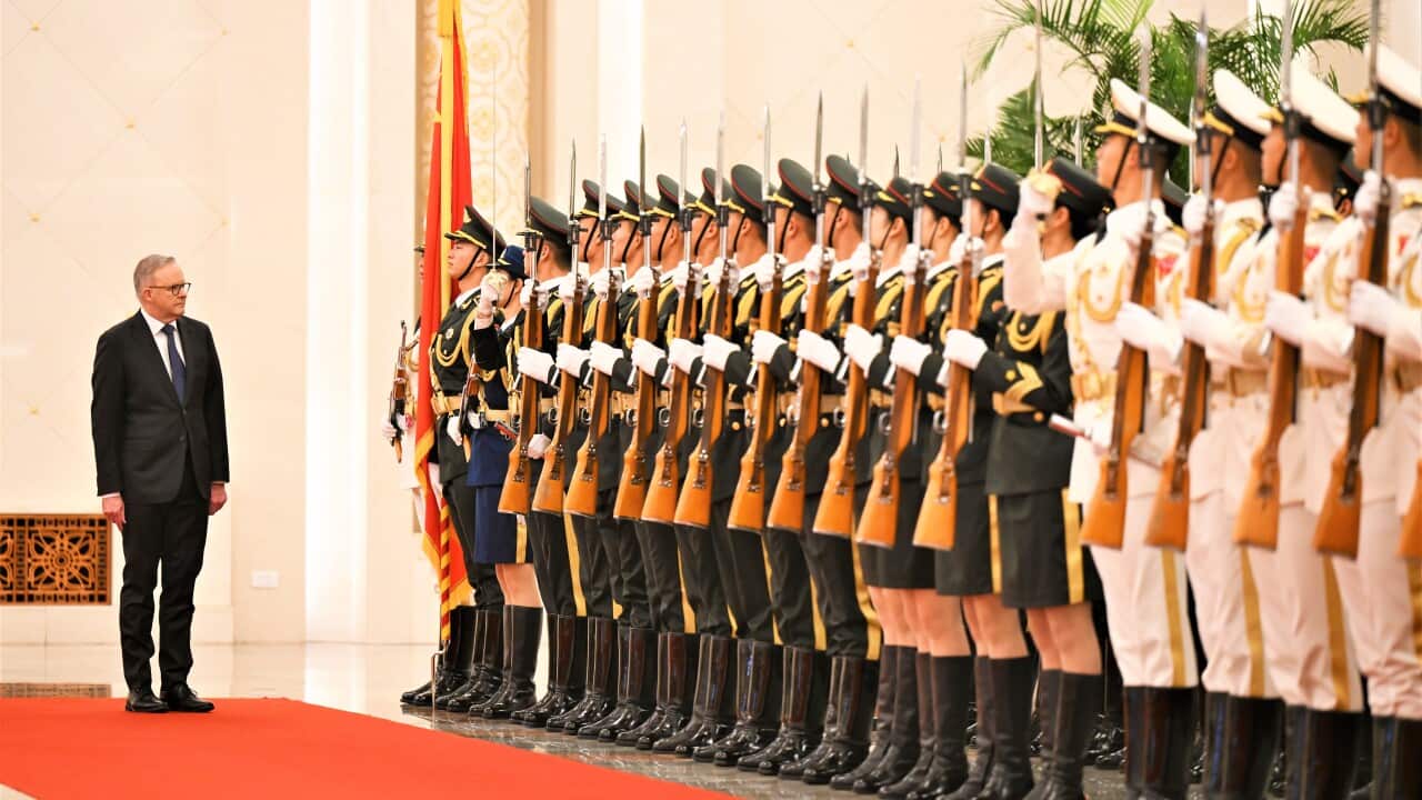 ANTHONY ALBANESE CHINA TOUR