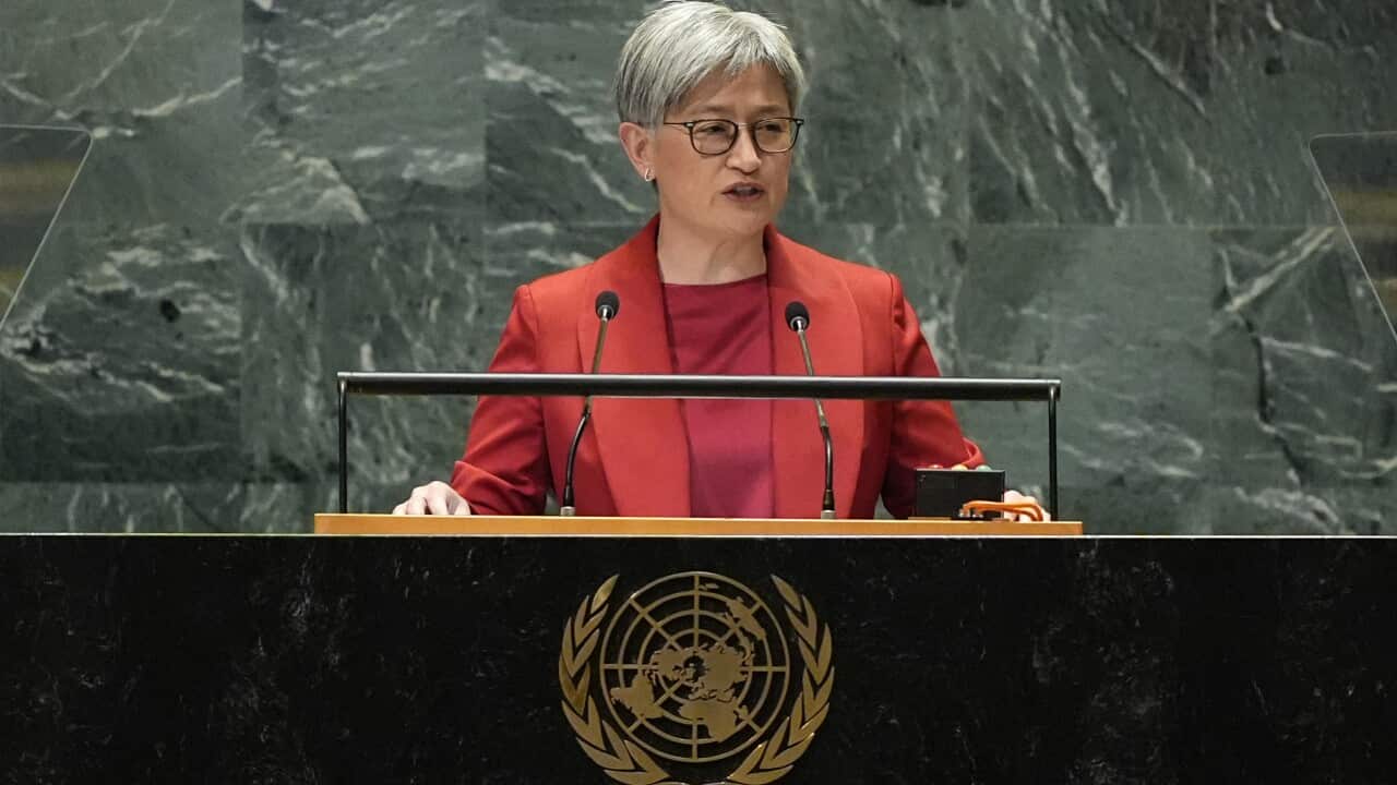 Penny Wong makes m Lebanon aid pledge, urges UN on Palestinian state recognition Penny Wong makes m Lebanon aid pledge, urges UN on Palestinian state recognition