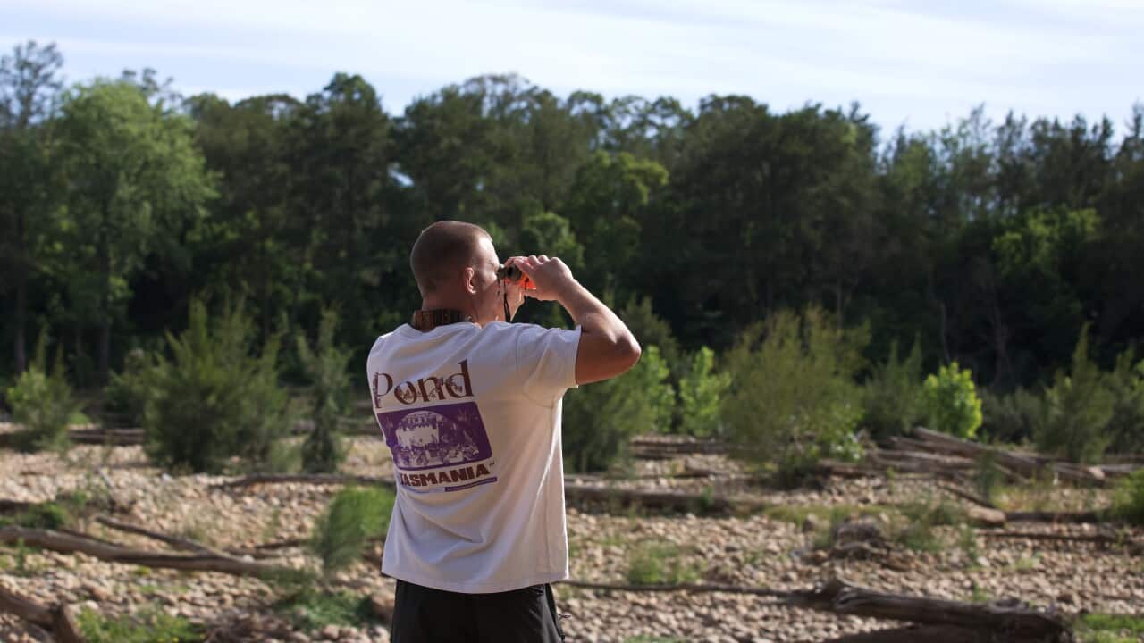 Man using a binocular in nature clearing wearing white shirt