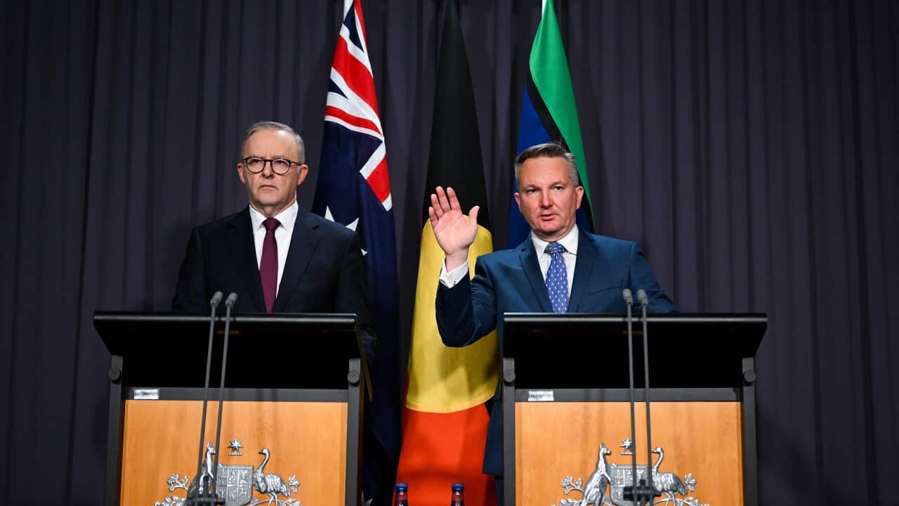 ANTHONY ALBANESE SAFEGUARD MECHANISM PRESSER