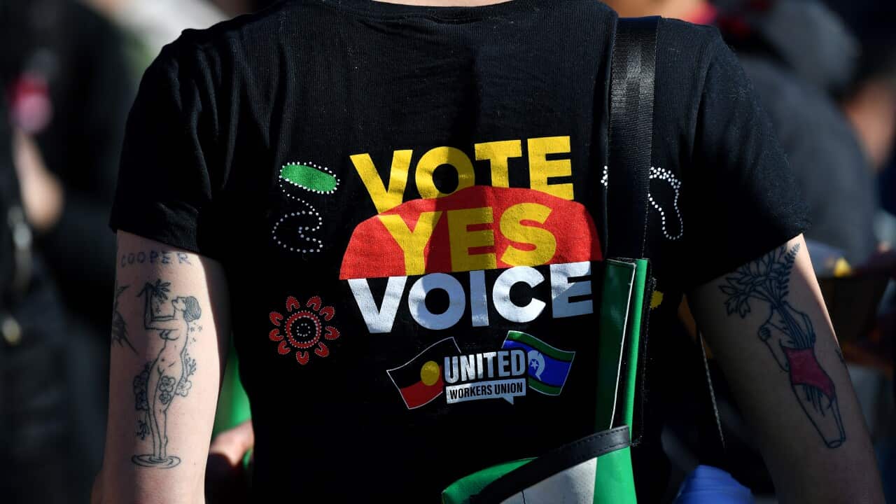 YES 23 VOICE CAMPAIGN SYDNEY
