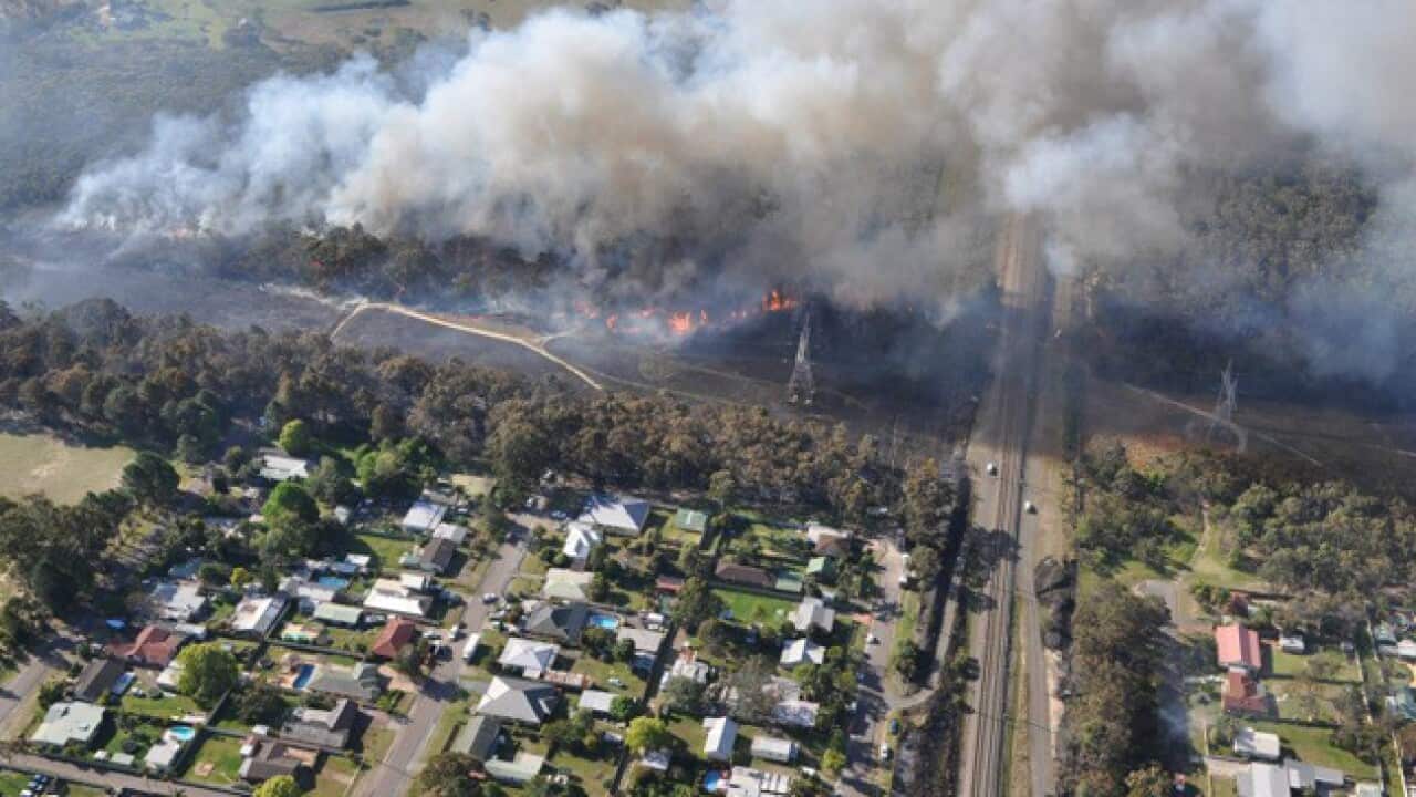 bushfire