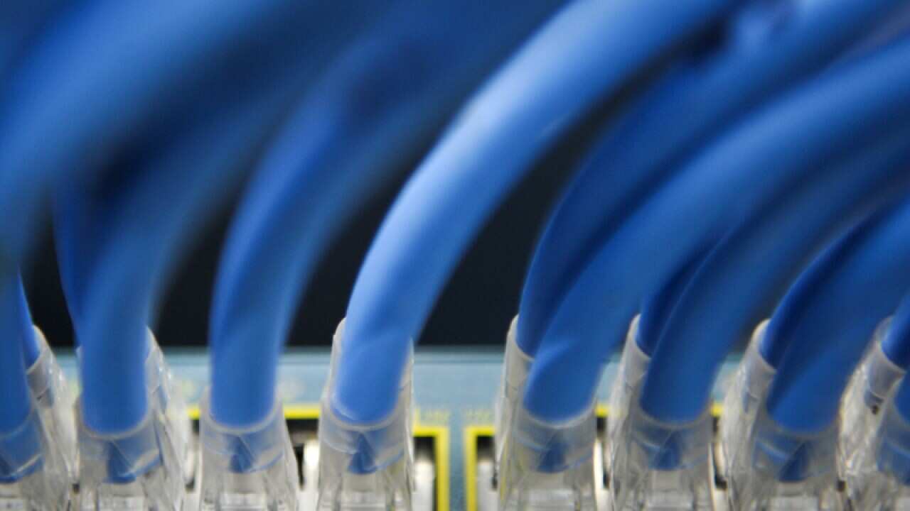 Ethernet cables are seen in a server room in Canberra