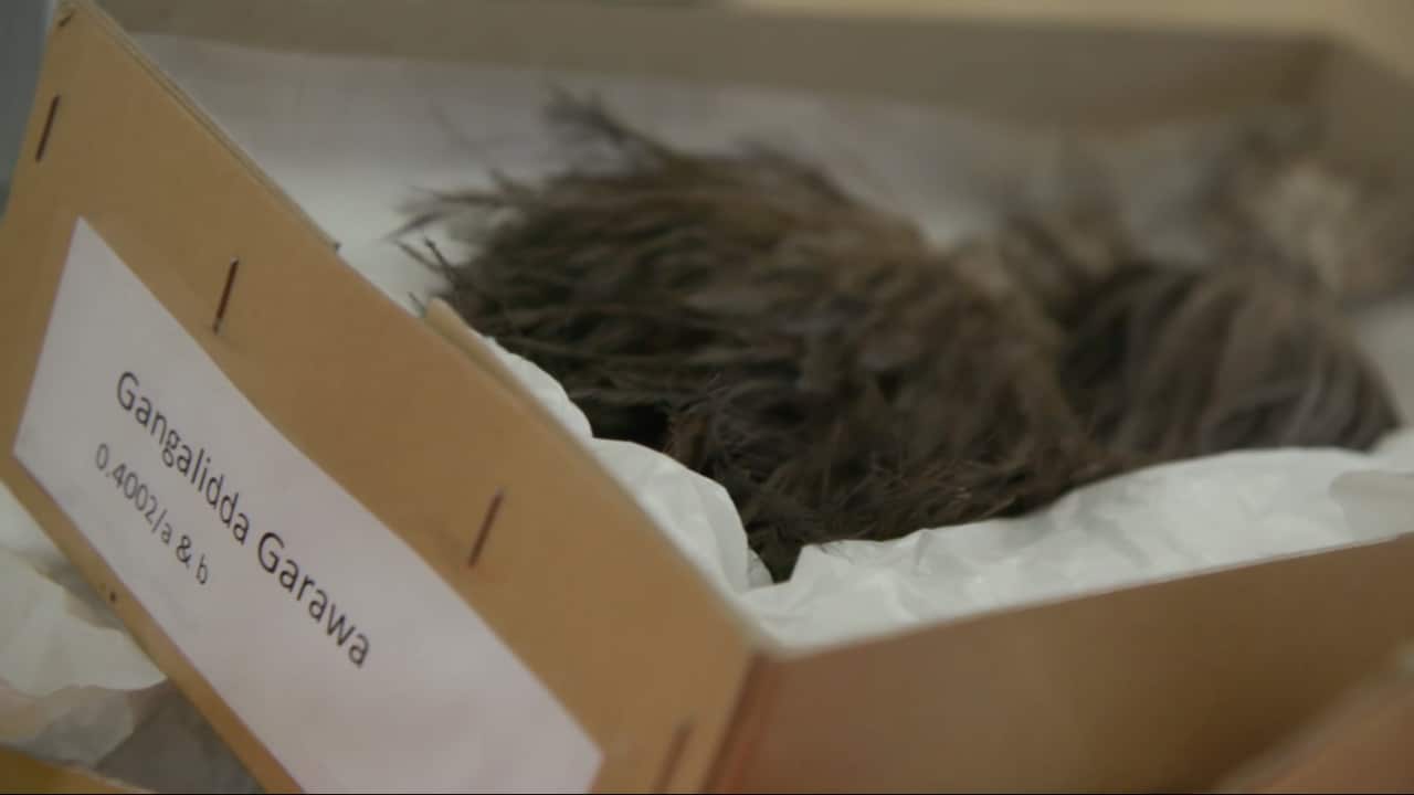 Image for read more article 'READ MORE'