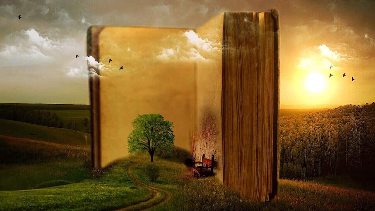 Image for read more article 'READ MORE'