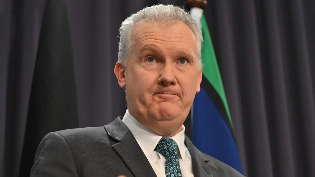 Tony Burke stands behind a lectern wearing a suit. He is gesturing with his right hand.