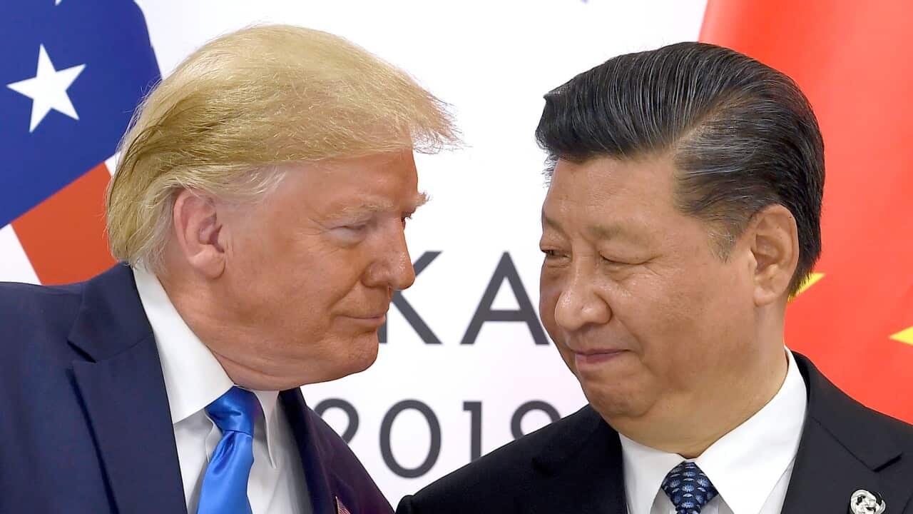 Donald Trump,Xi Jinping
