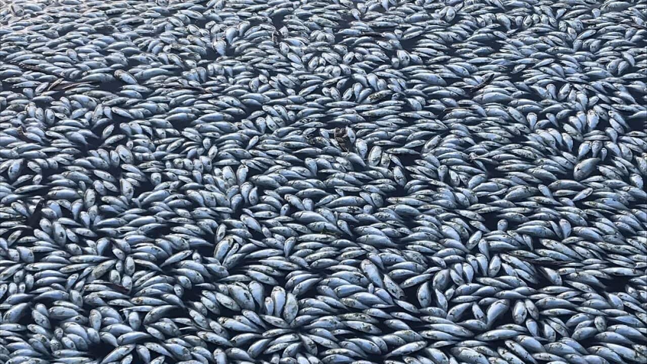 Image for read more article 'READ MORE'