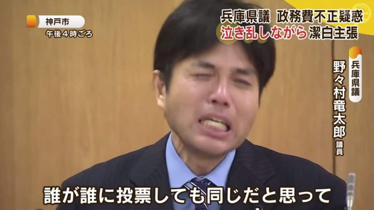 japan_pollie_youtube.jpg
