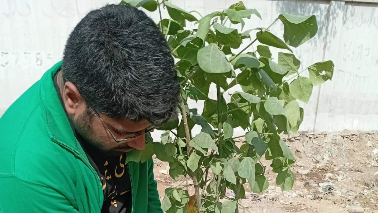 WhatsApp Image 2026-02-04 at 08.35.46.jpeg