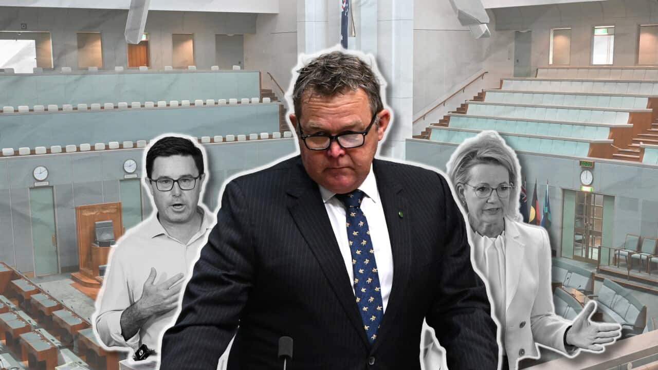 BOYCE LITTLEPROUD LEY GRAPHIC