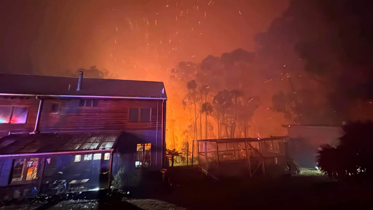 BUSHFIRES VICTORIA