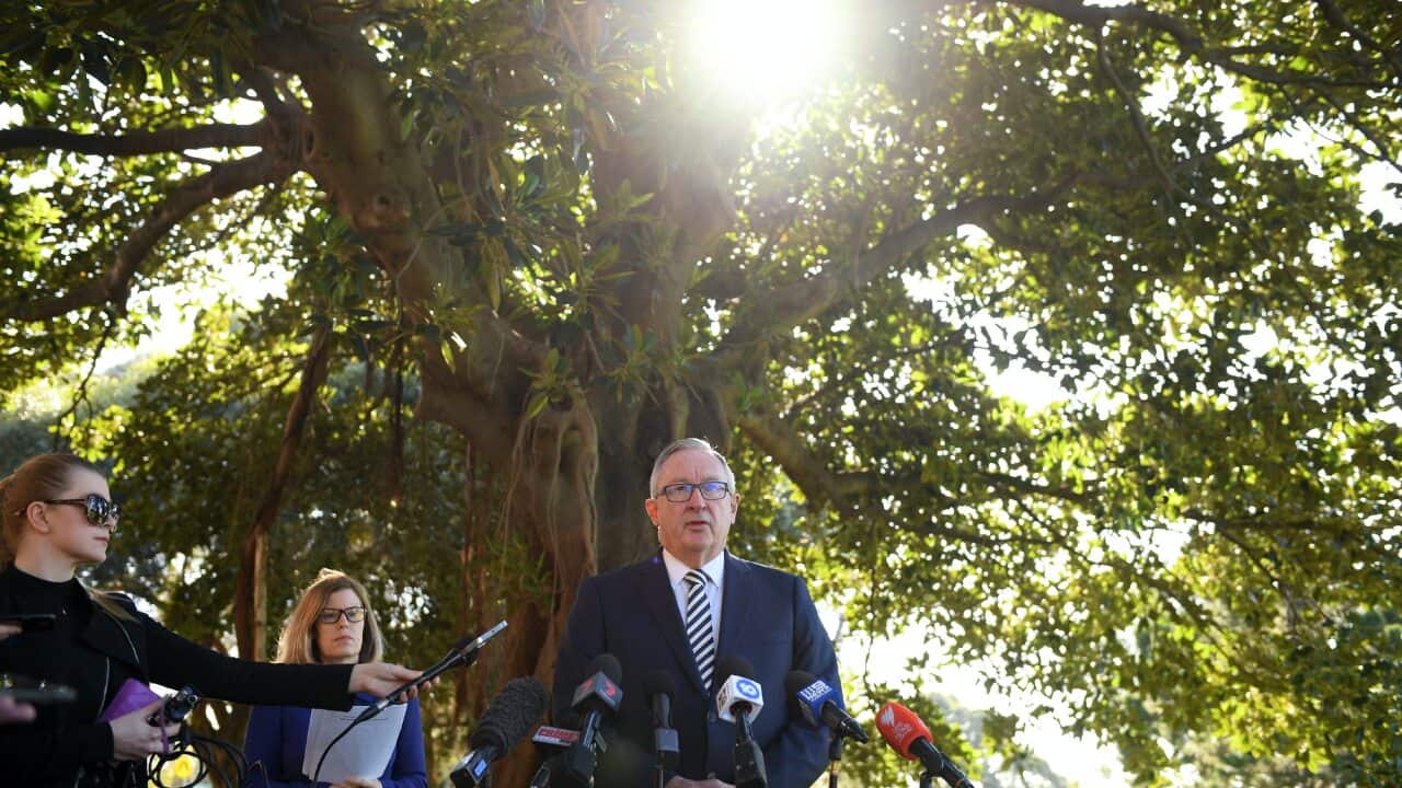 Image for read more article 'Xem thêm:'