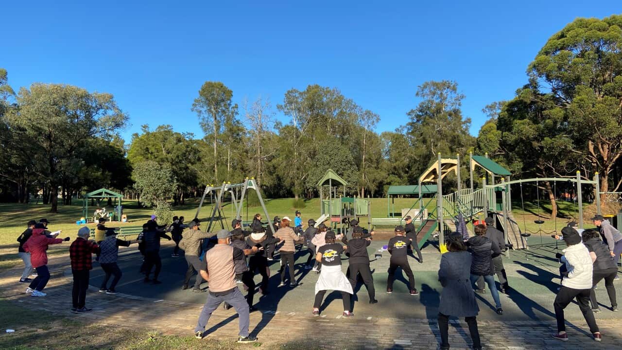 Nhóm Hoàng hạc Khí công tập trong công viên Maluga Passive Park ở Birrong, Tây Sydney