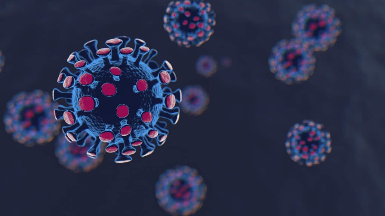 Coronavirus, COVID-19, COVID-19 Vaccine, health, macedonian community,