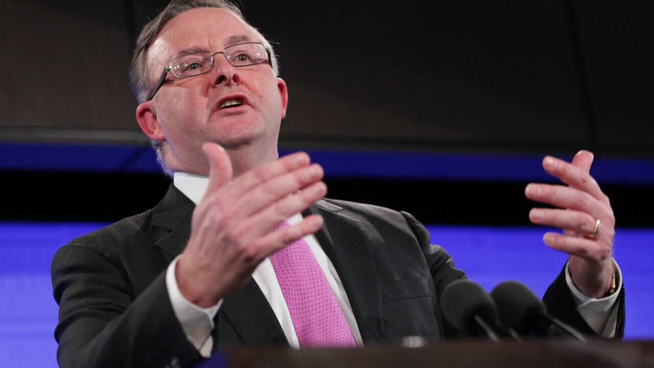 Shadow Minister for Infrastructure and Transport, Anthony Albanese