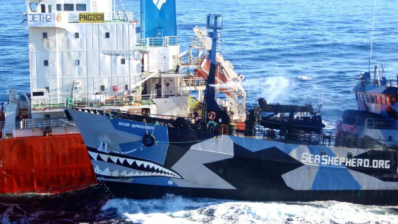 The Sea Shepherd ship Bob Barker (R) colliding with the Japanese whaling fleet fuel tanker the San Laurel in 2013 - AAP-1.jpg