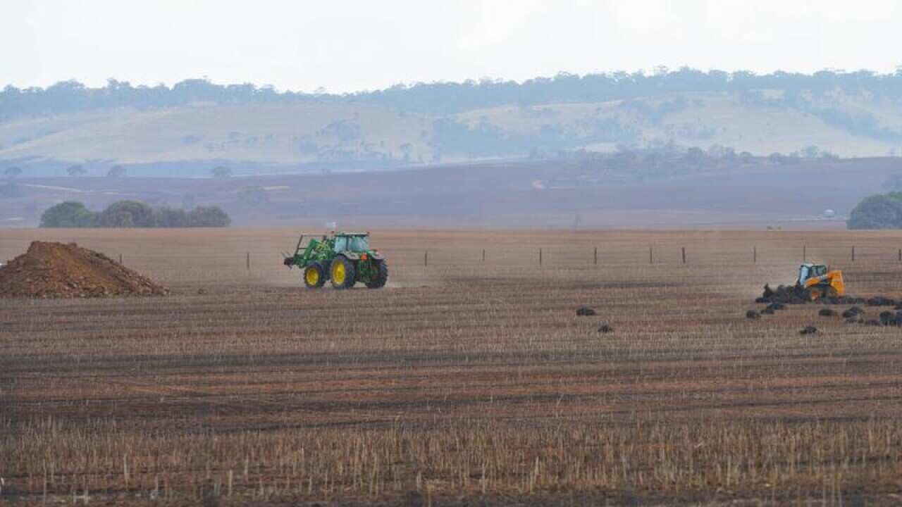 Farmers bury dead stock in the mid-north of South Australia