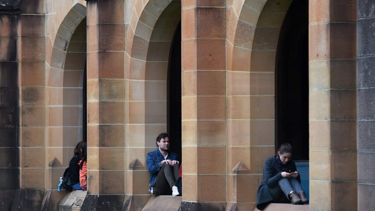Students at the University of Sydney