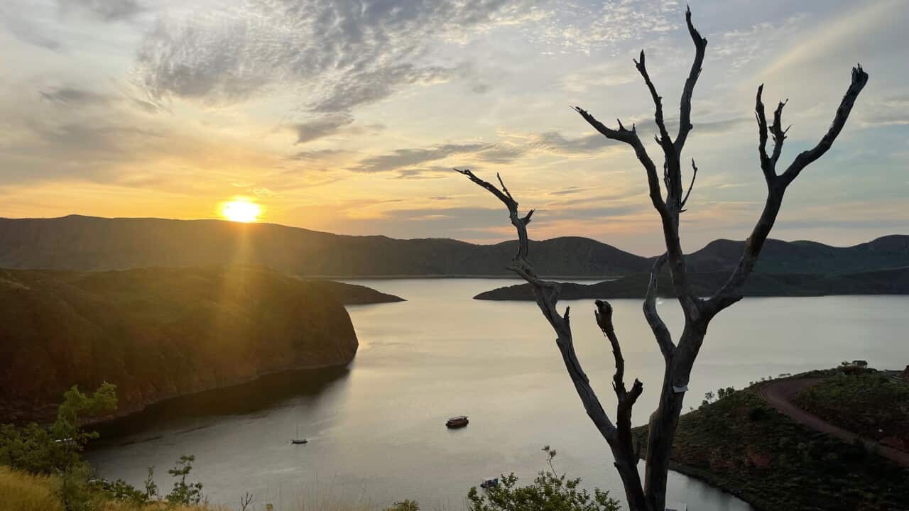 Image for read more article ''