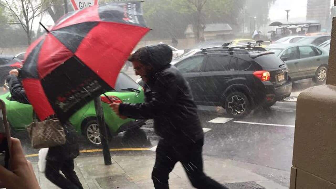 風暴 消息 (98) 사진