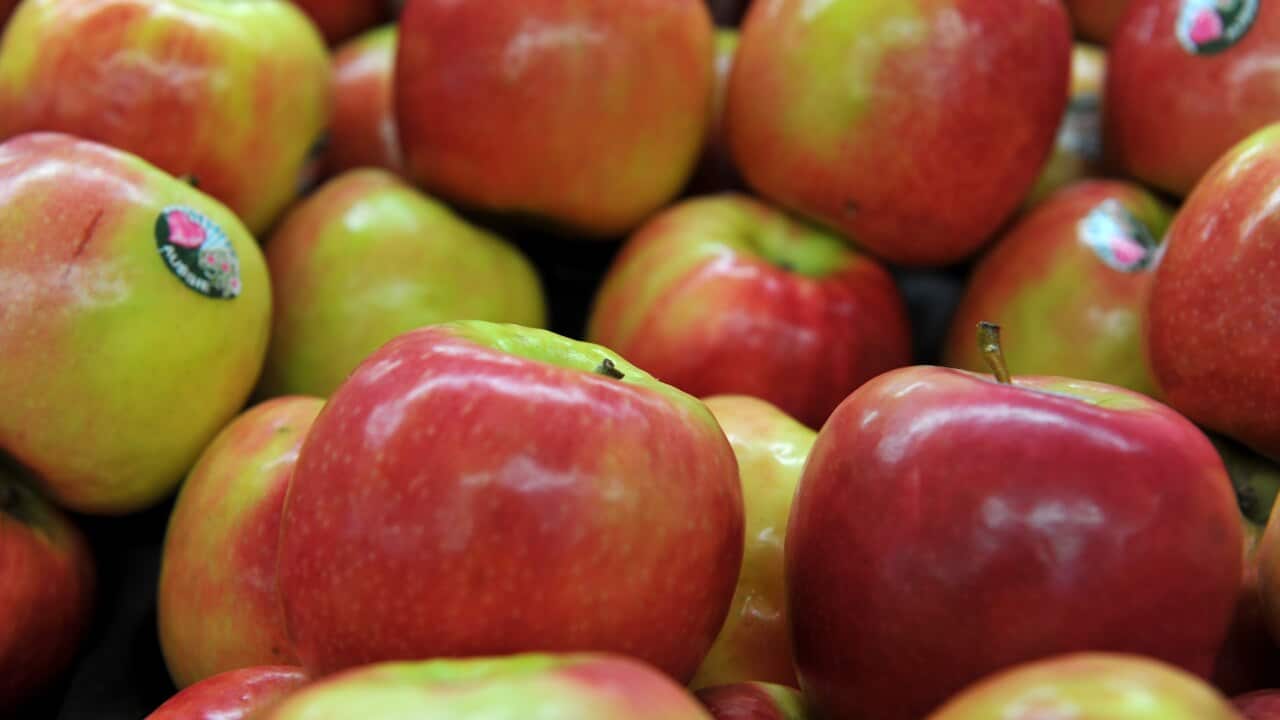 Image for read more article ''