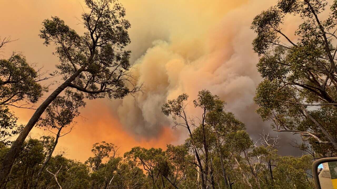 Bushfires: States on fire alert amid extreme heat and gusty winds