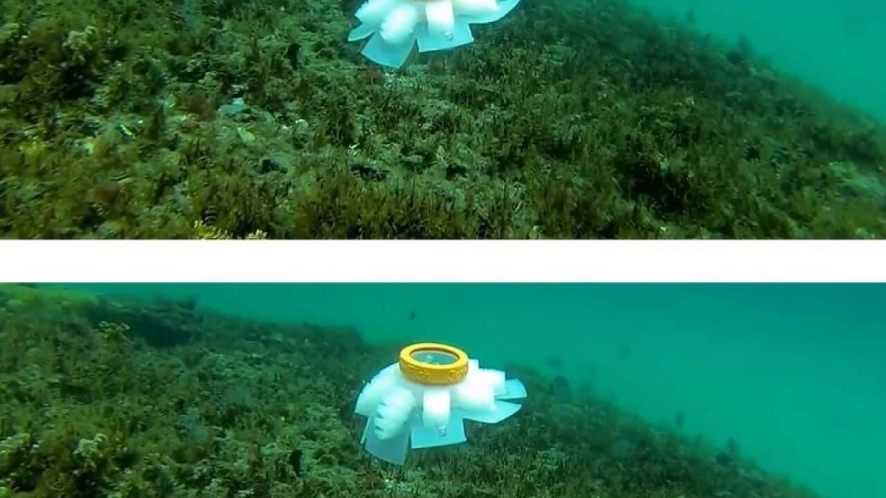 Jellyfish robot