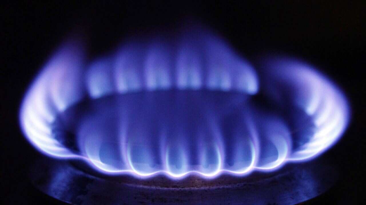 A file photo of a gas hob