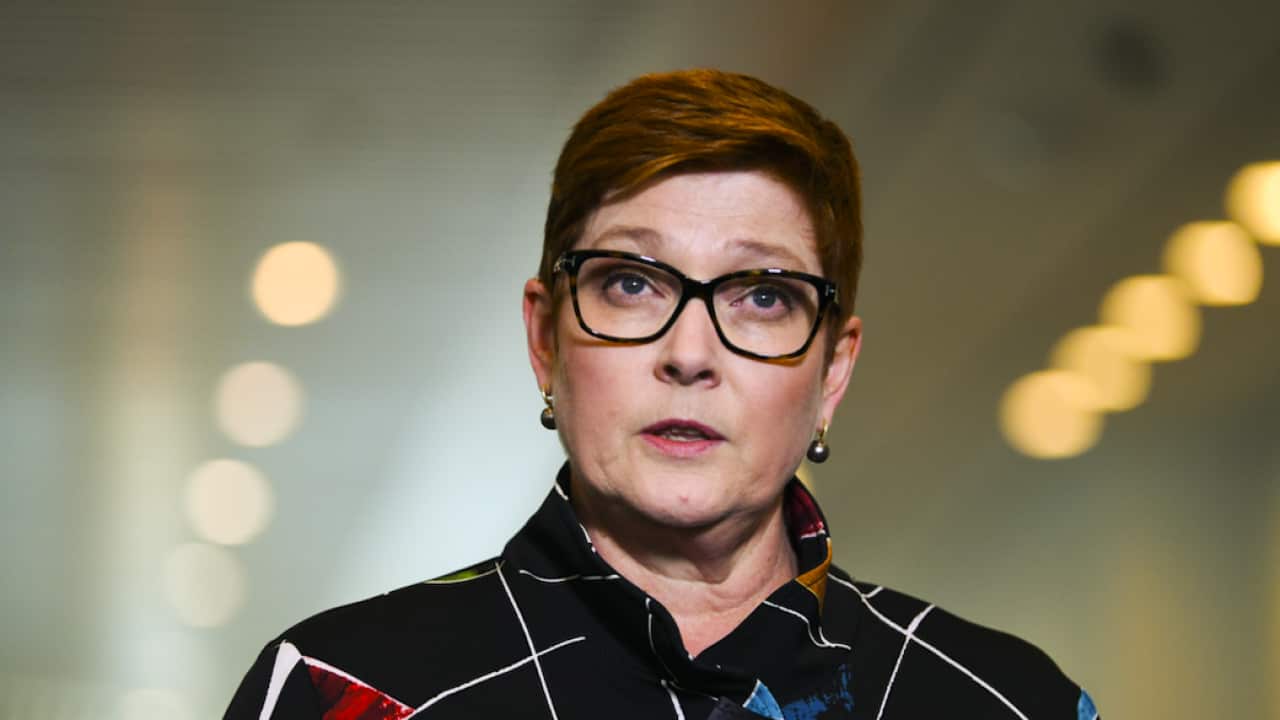 Foreign Minister Marine Payne speaks during a press conference at Parliament House in Canberra, Monday, October 26, 2020