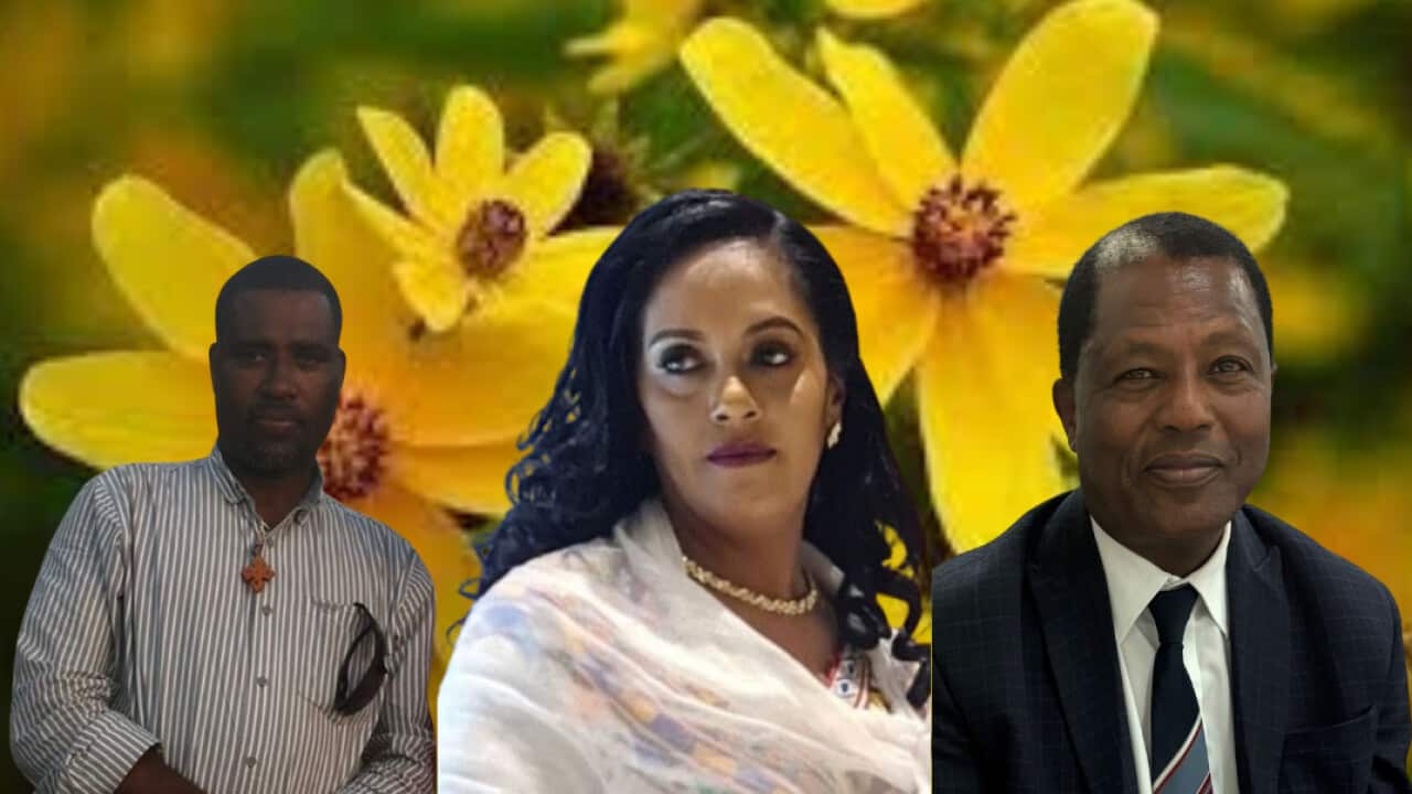 WA Social Club Leaders.png