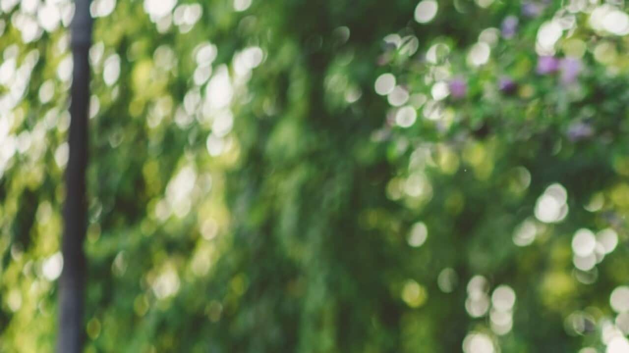 Image for read more article 'READ MORE'