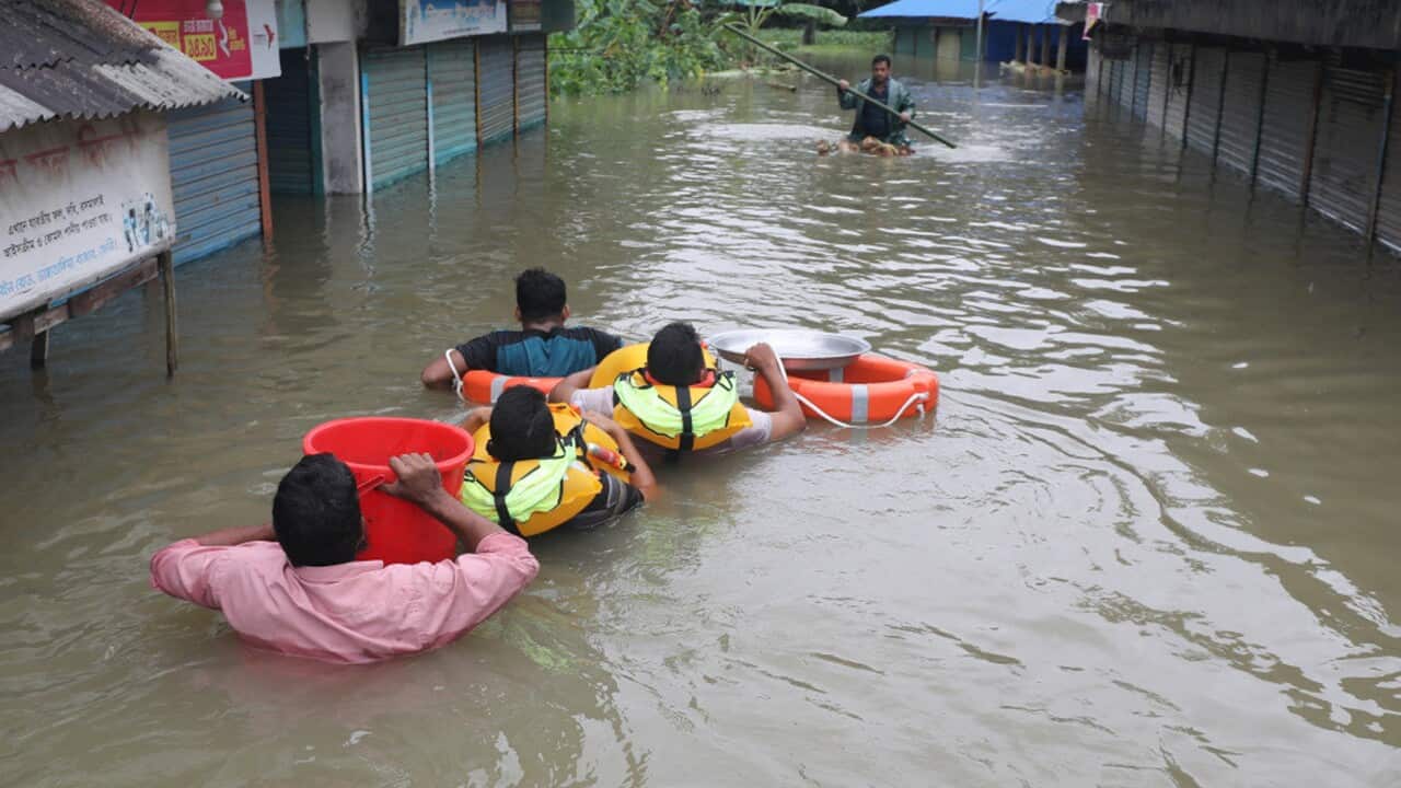 Image for read more article ''