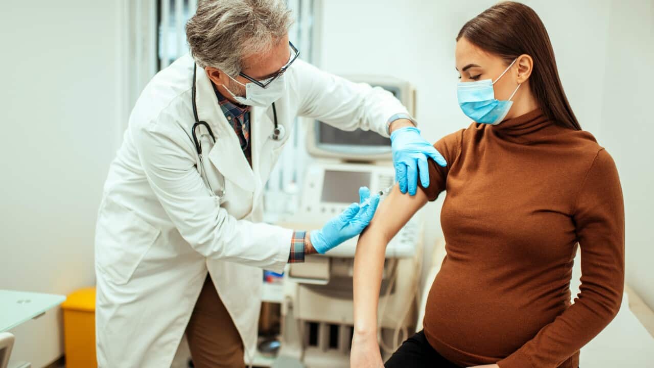 pregnancy vaccine myths busted