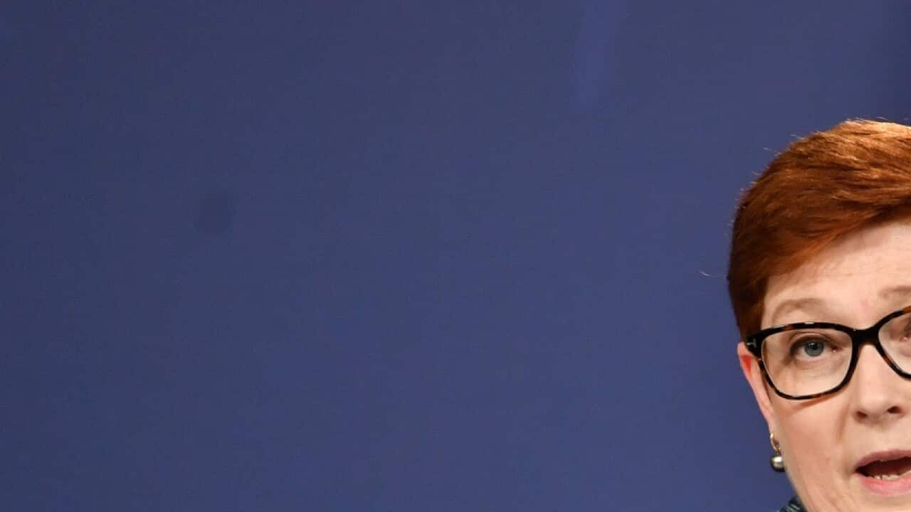 Australian Foreign Affairs Minister Marise Payne during a press conference in Sydney,