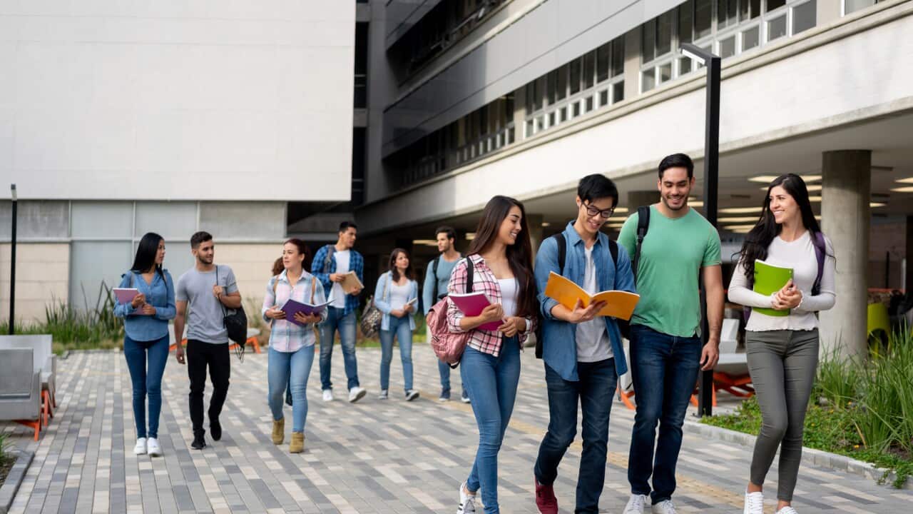 Image for read more article 'READ MORE'